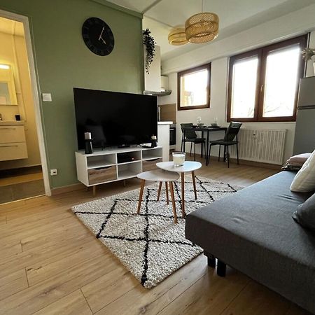 Cosy Rent Strasbourg Appartement Wifi Terrasse Екстериор снимка